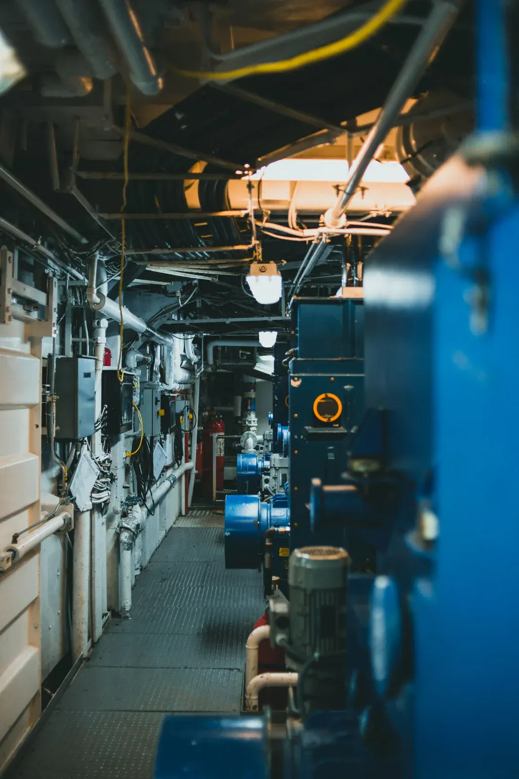 MEP plant room and coordinated services